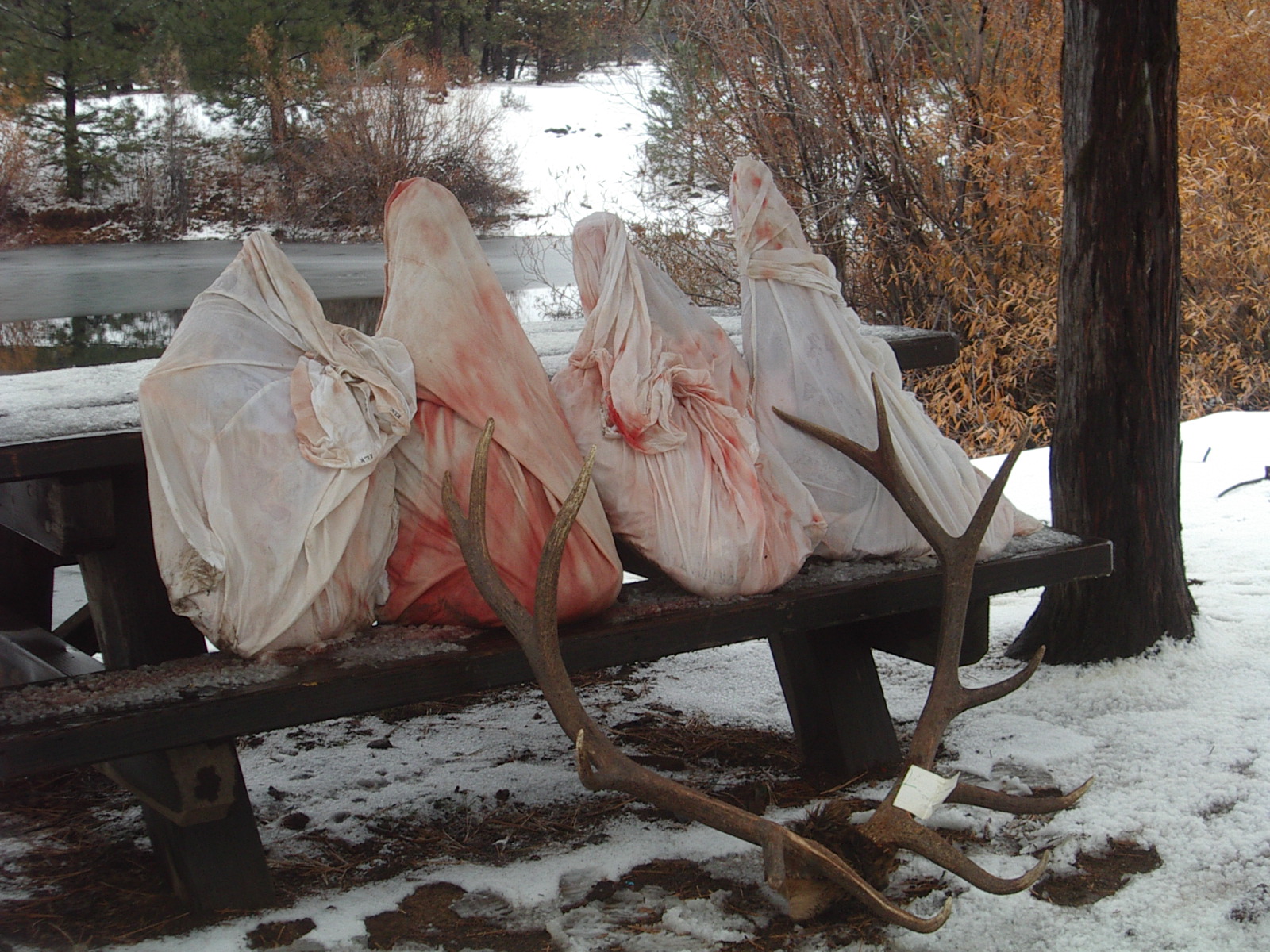 Meat in Camp!