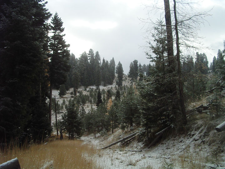 View Back