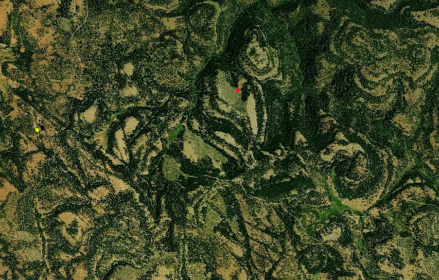 Google Earth